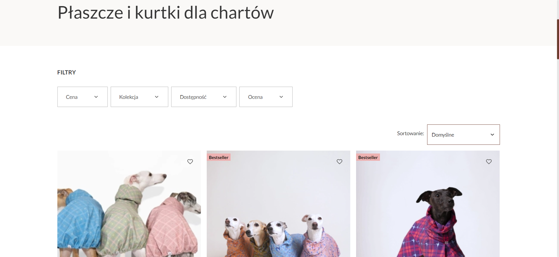 Kurtki dla chartów a zmieniająca się pogoda - kiedy warto je zakładać?